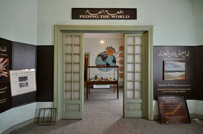 Museo Agrícola Mundial (WAM) - Asunción Molinos Gordo