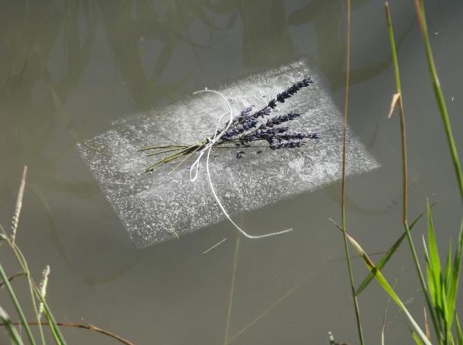 Ice book - Basia Irland