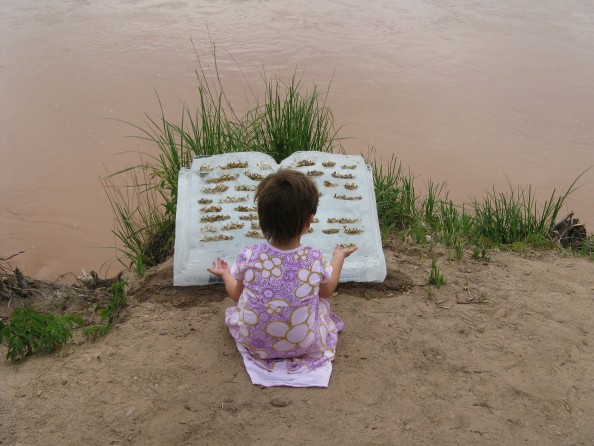 Ice book - Basia Irland